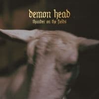 Demon Head - Thunder On The Fields Cd (CD)