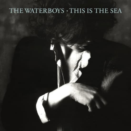 The Waterboys - This Is The Sea (CD)