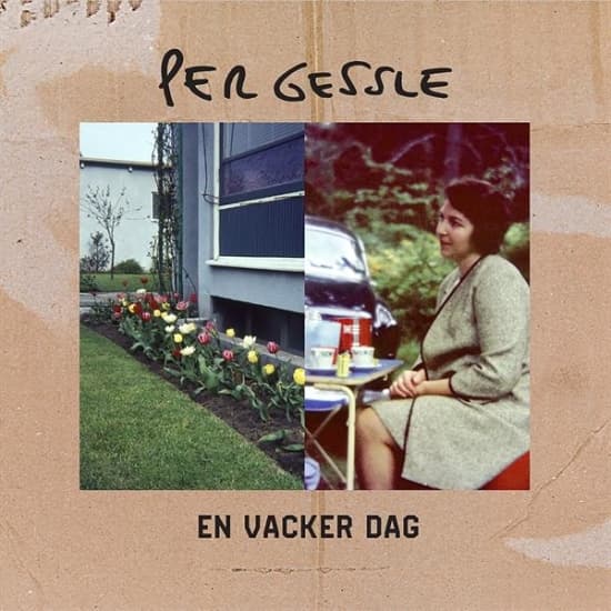 Gessle Per - En Vacker Dag (CD)