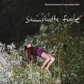 Miniatyrbild 1 av 2: Nikolaj Nørlund / Copenhagen Phil - Skamskudte Fugle (CD)