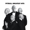 Miniatyrbilde 2 av 2: Pitbull - Greatest Hits (CD)