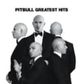 Miniatyrbilde 1 av 2: Pitbull - Greatest Hits (CD)