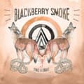 Miniatyrbillede 1 af 2: Blackberry Smoke - Find A Light (CD)