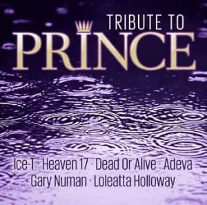 Various Artists - Tribute To Prince (CD)