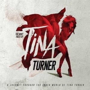 Various Artists - The Many Faces Of Tina Turner (3CD)