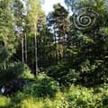 Miniatyrbild 1 av 2: Twice A Man - Cocoon (CD)