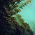 Miniatyrbilde 2 av 2: Polymoon - Caterpillars Of Creation (CD)