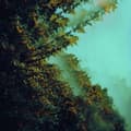 Miniatyrbilde 1 av 2: Polymoon - Caterpillars Of Creation (CD)