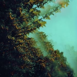 Polymoon - Caterpillars Of Creation (CD)