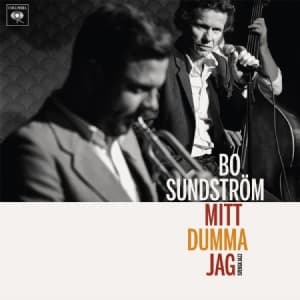 Sundström Bo - Mitt Dumma Jag - Svensk Jazz (CD)