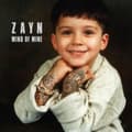 Miniatyrbild 1 av 2: Zayn - Mind Of Mine (Deluxe Edition) (CD)