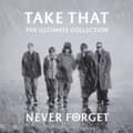 Pikkukuva 2 / 2: Take That - Never Forget: The Ultimate Collection (CD)