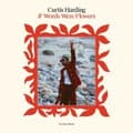 Miniatyrbild 1 av 2: Curtis Harding - If Words Were Flowers (CD)