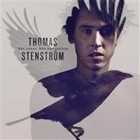 Thomas Stenström - Nåt Annat, Nån Annanstans (CD)