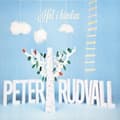 Miniatyrbillede 1 af 2: Peter Rudvall - Hål I Himlen (CD)