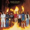 Miniatyrbild 2 av 2: Lynyrd Skynyrd - Street Survivors (CD)