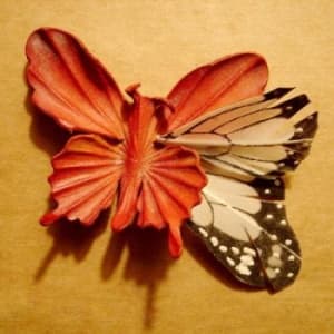 Jain Essie - We Made This Ourselves (CD)