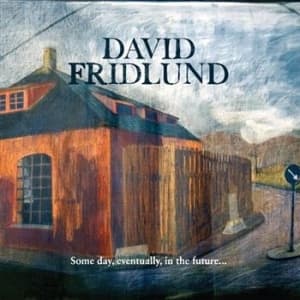 Fridlund David - Some Day, Eventually, In The Futu.. (CD)