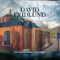 Miniatyrbillede 1 af 2: Fridlund David - Some Day, Eventually, In The Futu.. (CD)