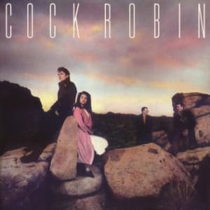 Robin Cock - Cock Robin (CD)
