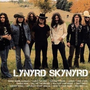Lynyrd Skynyrd - Icon (CD)