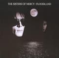 Miniatyrbillede 2 af 2: Sisters Of Mercy - Floodland (CD)