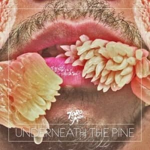 Toro Y Moi - Underneath The Pine (CD)