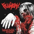 Pikkukuva 1 / 2: Gluttony - Beyond The Veil Of Flesh (CD)