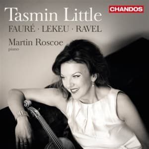 Various Composers - French Violin Sonatas (CD)