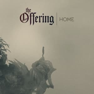 Offering The - Home -Ltd/Digi/Bonus Tr-