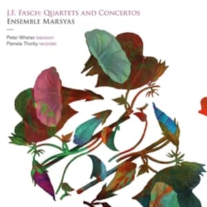 Fasch J F - Quartets And Concertos (CD)