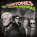 Miniatyrbilde 1 av 2: Fleshtones - Face Of The Screaming Werewolf (CD)