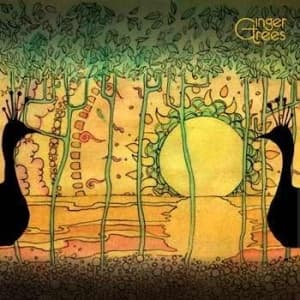 Ginger Trees - Came The Morning (CD)
