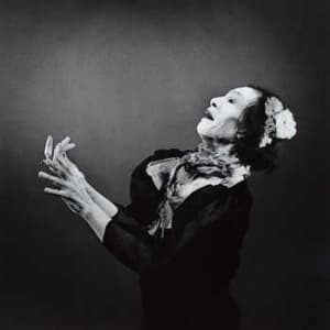 Antony & The Johnsons - The Crying Light (CD)