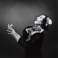 Miniatyrbillede 1 af 2: Antony & The Johnsons - The Crying Light (CD)
