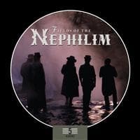 Fields Of The Nephilim - 5 Albums Box Set (CD)
