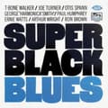 Pikkukuva 1 / 2: Walker T-Bone Joe Turner Otis Spa - Super Black Blues (CD)