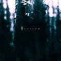 Pikkukuva 1 / 2: Lustre - Blossom (CD)