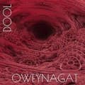 Miniatyrbillede 1 af 2: Dool - Oweynagat (CD)