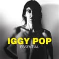 Miniatyrbillede 1 af 2: Iggy Pop - Essential (CD)