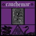 Miniatyrbilde 1 av 2: Cauchemar - La Vierge Noire (CD)