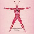 Miniatyrbild 1 av 2: Erkonauts The - I Shall Forgive (CD)