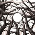 Pikkukuva 1 / 2: Svalbard - It's Hard To Have Hope - Ltd.Ed. (CD)