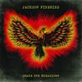 Miniatyrbillede 1 af 2: Jackson Firebird - Shake The Breakdown (CD)