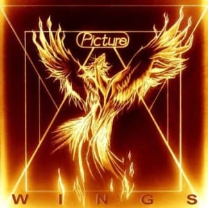 Picture - Wings (CD)
