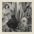 Miniatyrbillede 1 af 2: Inter Arma - Cavern (CD)