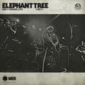 Miniatyrbild 1 av 2: Elephant Tree - Day Of Doom Live (CD)