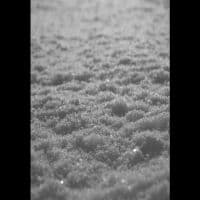 Paysage D'hiver - Schnee (A5 Digibook) (CD)