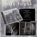 Miniatyrbild 1 av 2: Hate Forest - Sorrow (CD)