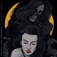 Awake The Dreamer - Damaged Souls (CD)